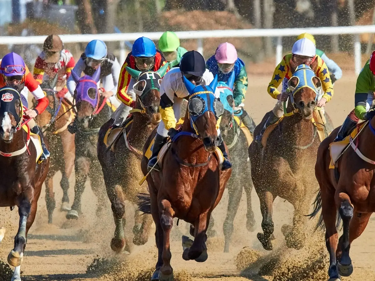 Jockeys and horses racing on a dirt track