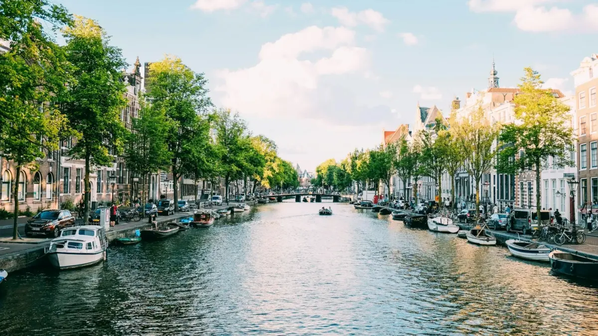 Boats moored along a tree-lined canal in Amsterdam