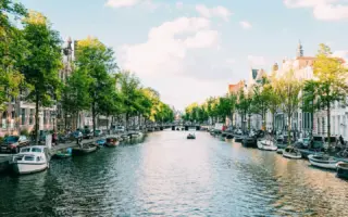 Boats moored along a tree-lined canal in Amsterdam