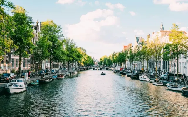 Boats moored along a tree-lined canal in Amsterdam