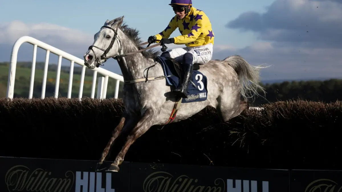 Grey horse and jockey in yellow and purple silks jumping a fence past William Hill boards at Punchestown
