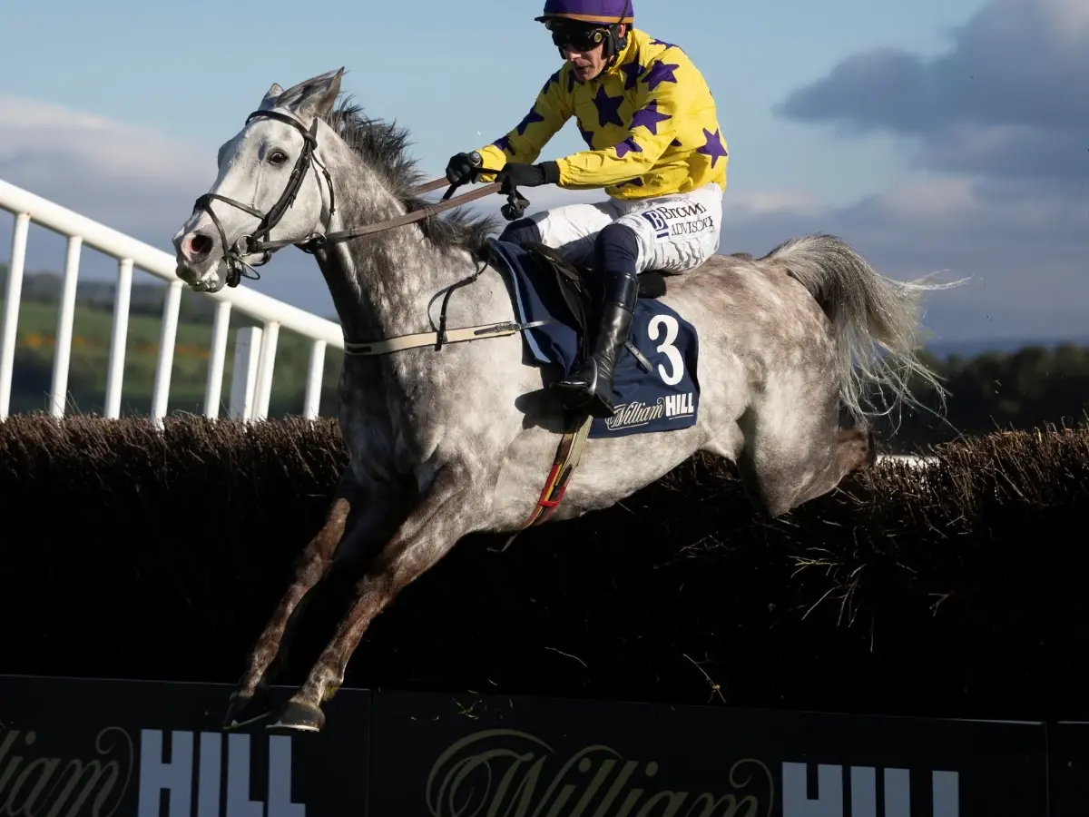 Grey horse and jockey in yellow and purple silks jumping a fence past William Hill boards at Punchestown