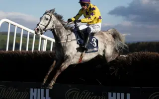 Grey horse and jockey in yellow and purple silks jumping a fence past William Hill boards at Punchestown