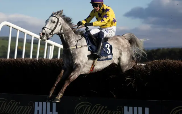 Grey horse and jockey in yellow and purple silks jumping a fence past William Hill boards at Punchestown